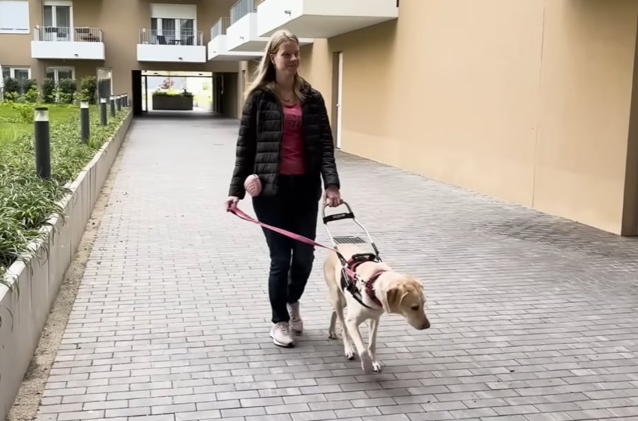 Babér és gazdája, Réka