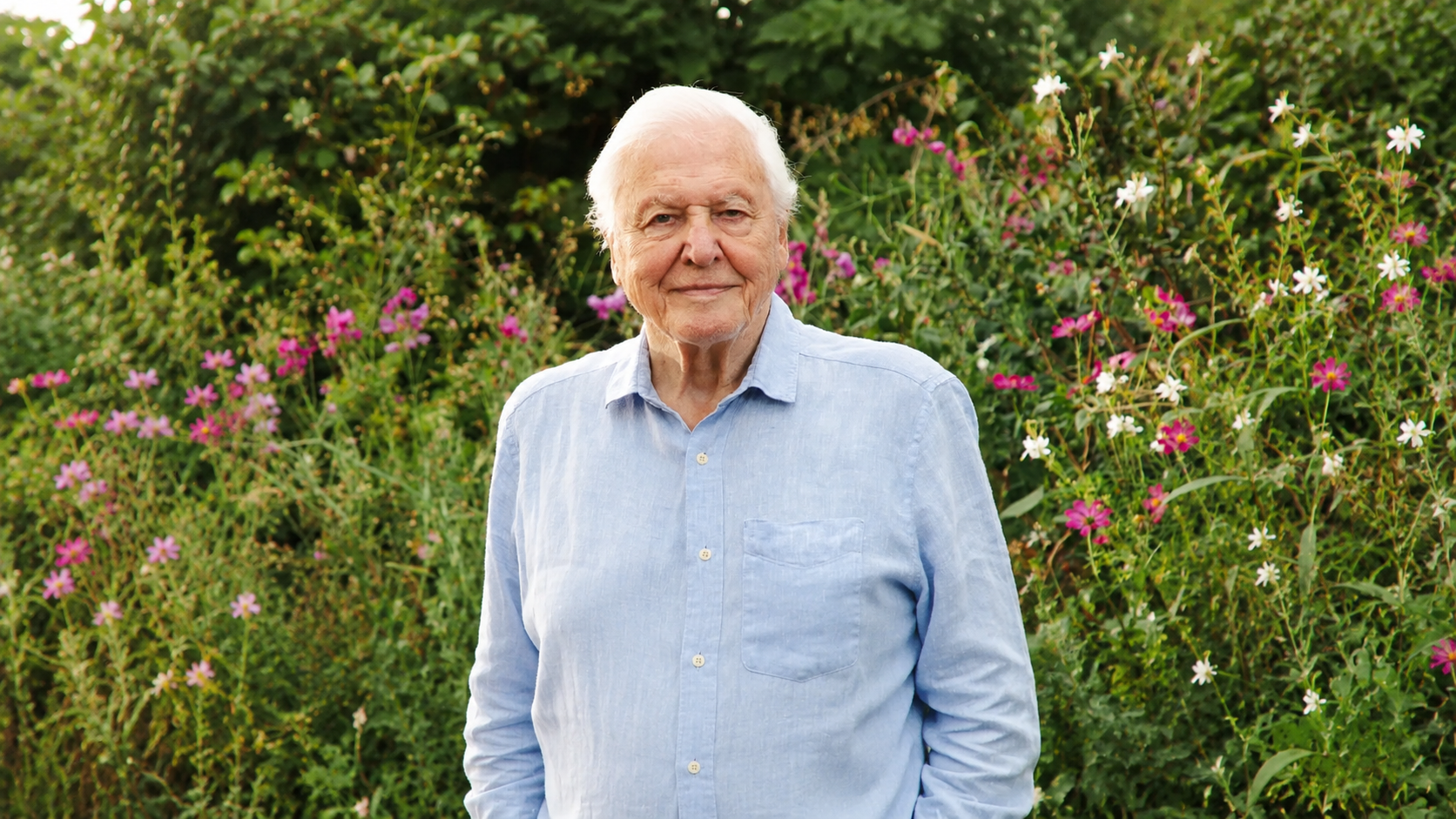 Ma százéves David Attenborough