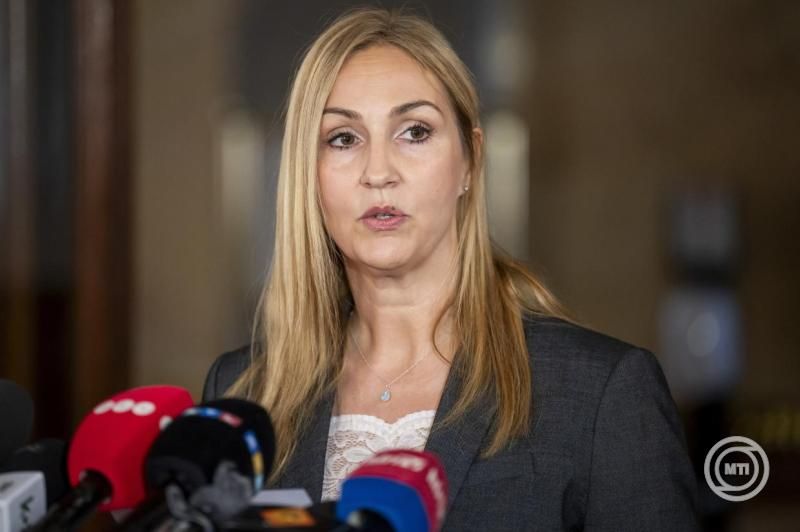 Diószegi Judit, a vizsgálóbizottság elnöke