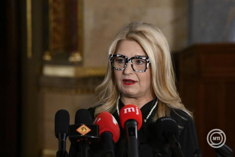 Hallerné Nagy Anikó: Több mint tíz név is felmerült, végül Baka András lett a Tisza államfőjelöltje